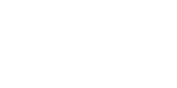 에볼루션 게이밍 logo
